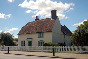 Bull Farm June 2008